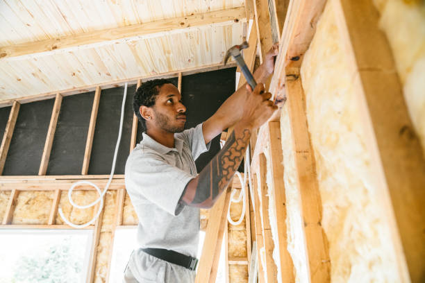 Best Attic Insulation Installation  in , KS